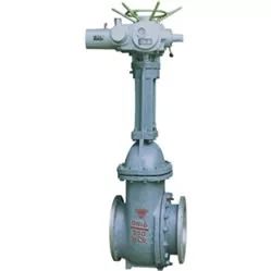 被評(píng)為“上海名牌”產(chǎn)品,這家企業(yè)究竟為民族閥門工業(yè)盡了多少力量?- 被評(píng)為“上海名牌”產(chǎn)品,這家企業(yè)究竟為民族閥門工業(yè)盡了多少力量?-