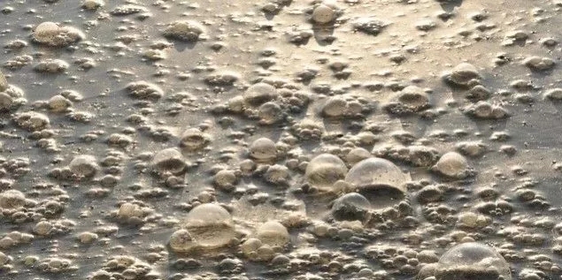 污水廠內(nèi)的生物氣溶膠怎么產(chǎn)生，污水從業(yè)人員如何做好防護(hù)？-