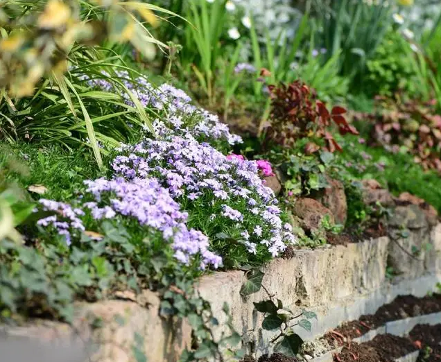 南北花園給排水問題差異大，你知道嗎？-