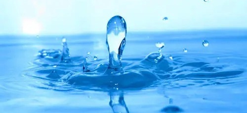 碳中和也內卷？歐洲啤酒巨頭將用污水釀酒