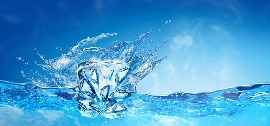 纖維素對污水生物處理系統(tǒng)性能的影響及機(jī)理分析