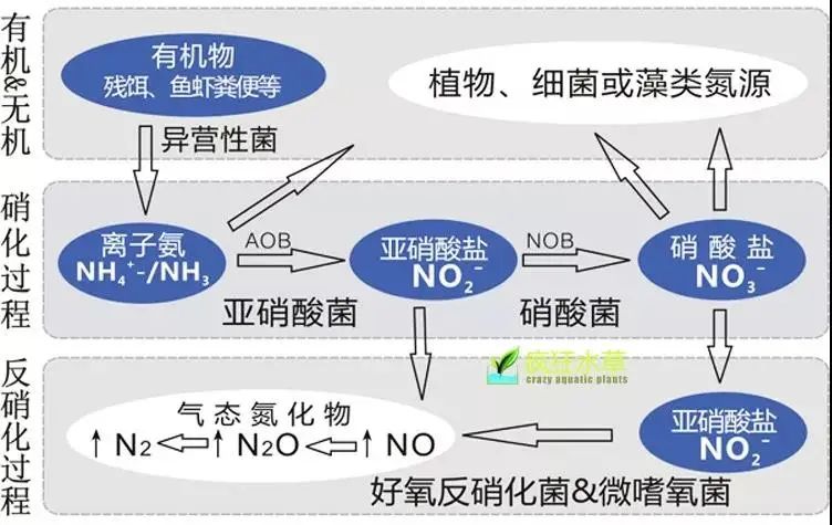 面對低濃度氨氮工業(yè)廢水束手無策？這幾種方法可以解決-