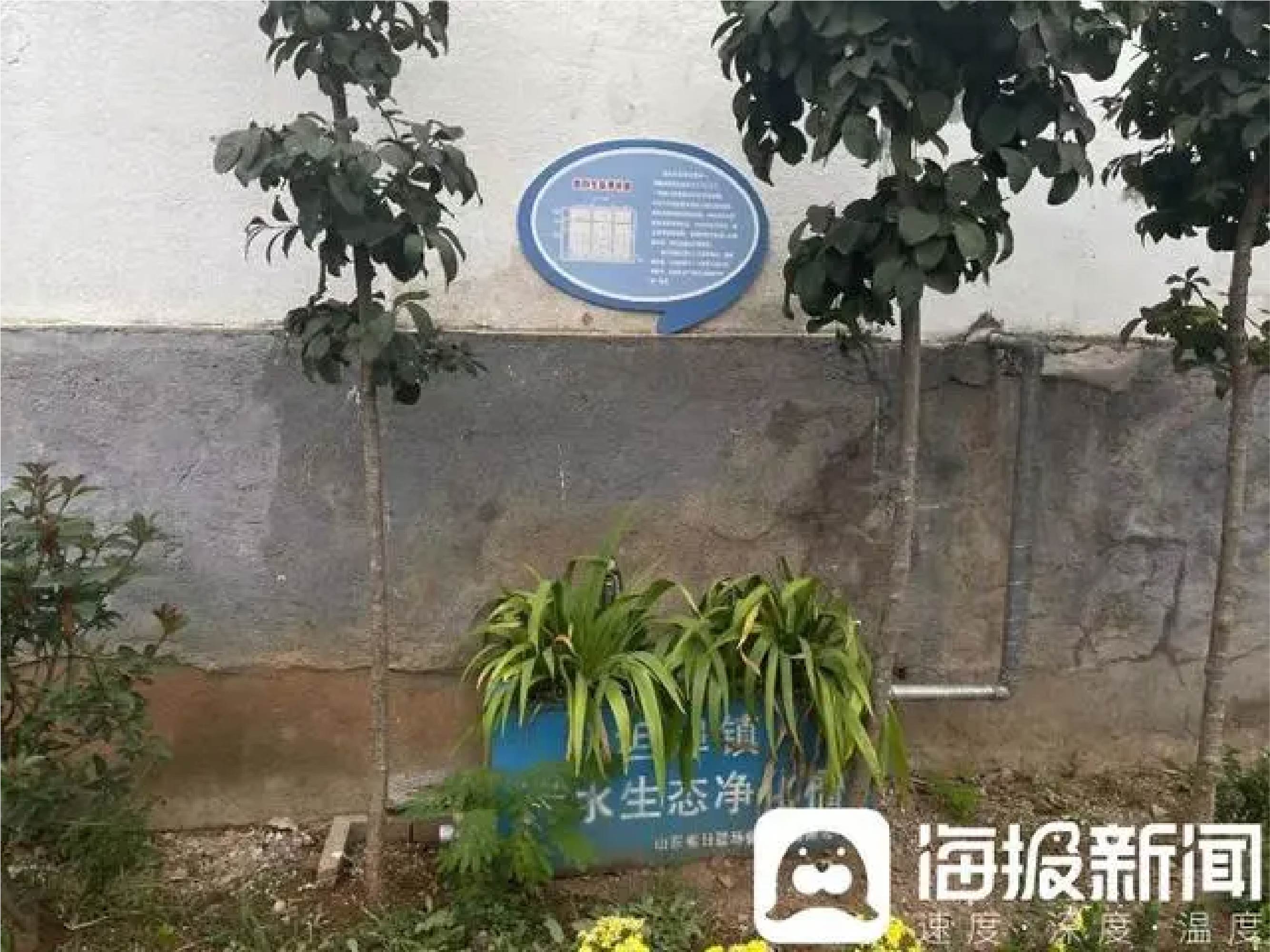 推進生活污水處理｜廢水變“肥水”，臨沂因地制宜治污水-